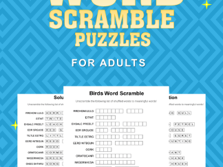 Word Scramble #3 front cover