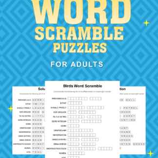 Word Scramble #3 front cover
