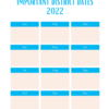 Educational Diagnostician Planner 18 month - Image 2