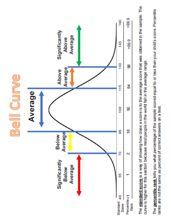 Educational Diagnostician Planner 18 month - Image 6