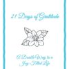 21 Days of Gratitude Journal (Teal Border Edition) - Image 3