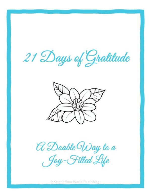 21 Days of Gratitude Journal (Teal Border Edition) - Image 3