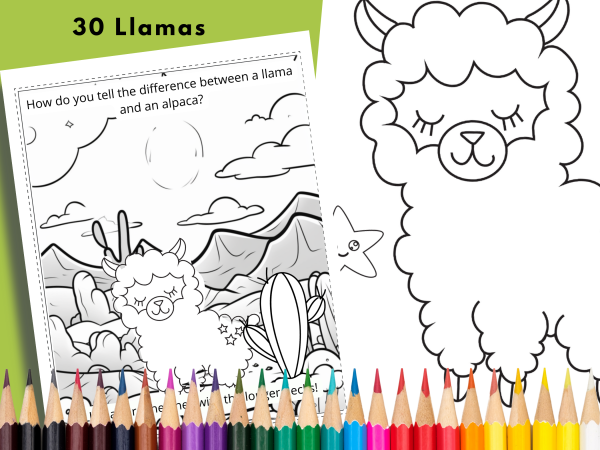 Llama Coloring, Coloring Page Bundle, Llama Coloring Pages for Kids, 30 Pages, Kids Joke Book, US Letter, Desert Llamas,Alpaca in the Desert - Image 3