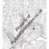 Marine Coloring Pages in reprintable pdf format - Image 4