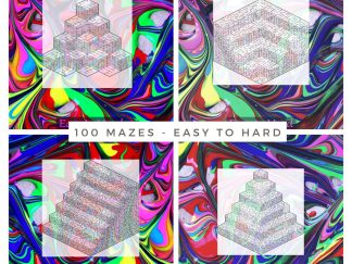100 Mazes for Adults - Easy to Hard