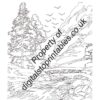 Nature Coloring Pages in reprintable pdf format - Image 4