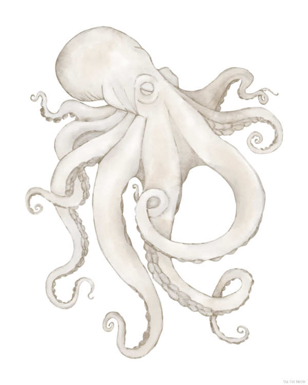 Octopus Wall Art - Image 2