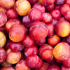 Hobby Farm Sustainability Ebook bundle - Image 3