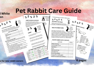 Basic Pet Rabbit Guide Booklet