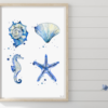 Sea Creatures Nautical Wall Art