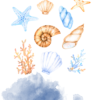 Seashells Nautical Wall Art - Image 2