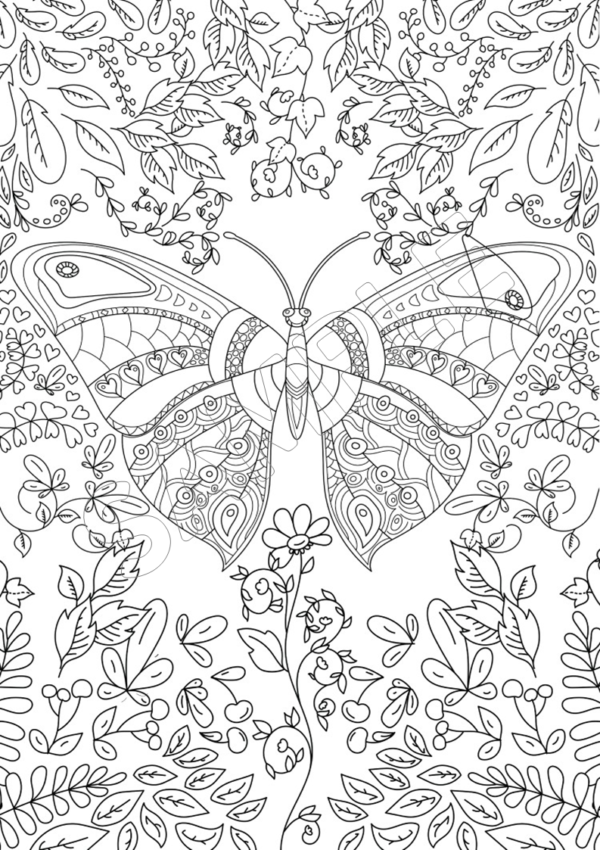 Marvelous Butterflies Printable Coloring Pages - Image 9