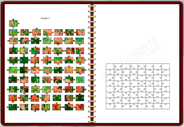 Digital Book Of Jigsaw Puzzles - Image 11