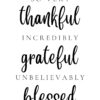 Thanksgiving Wall Art Digital Prints | Funny Definition | Pretend to Like Family | Always Be Thankful | Grateful | Blessed - Image 7