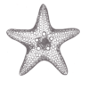 Starfish Wall Art - Image 2