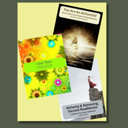 Success Bundle—Info Workbook, Mini eCourse, PLR Card Deck