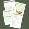 Success Bundle—Info Workbook, Mini eCourse, PLR Card Deck - Image 3