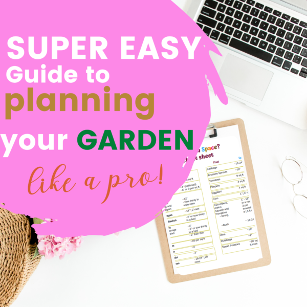 Super Easy Guide to Planning Your Garden Like A Pro