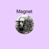 Magnet