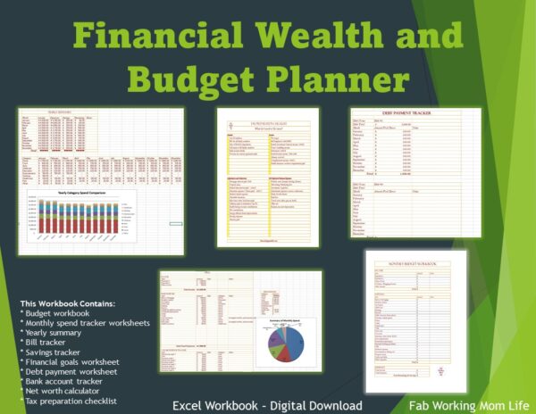 Wealth Planner - Annual Budget Workbook