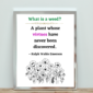 picture frame on table mock up for farmhouse wildflower design gardening quotes