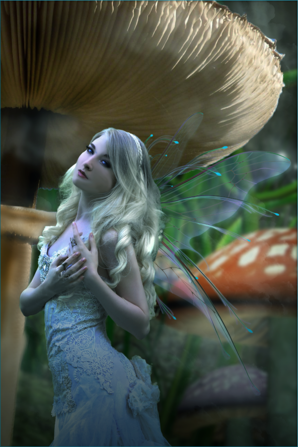 YA Fantasy Books-The Persephane Pendrake Chronicles-Book Two-The Cauldron of Ceridwen - Image 5