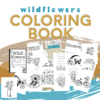 coloring book for adults mock ups of coloring pages of wildflowers for coloring book