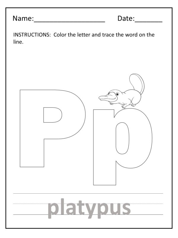 Fuzzy Australian Animals Worksheet Pack - Downloadable, Printable (Copy) - Image 2