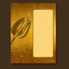 You Are An Alchemist, How To Become A Master Of Manifestation, Alchemy Info Workbook - Image 8