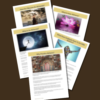 You Are An Alchemist, How To Become A Master Of Manifestation, Alchemy Info Workbook - Image 4