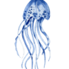 Blue Jellyfish Wall Art - Image 2