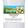 Gopherout