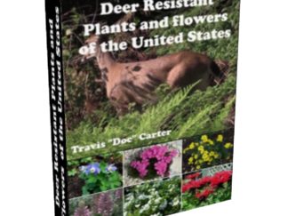 Deer Resistant Plants