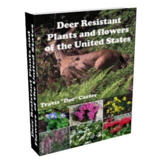 Deer Resistant Plants