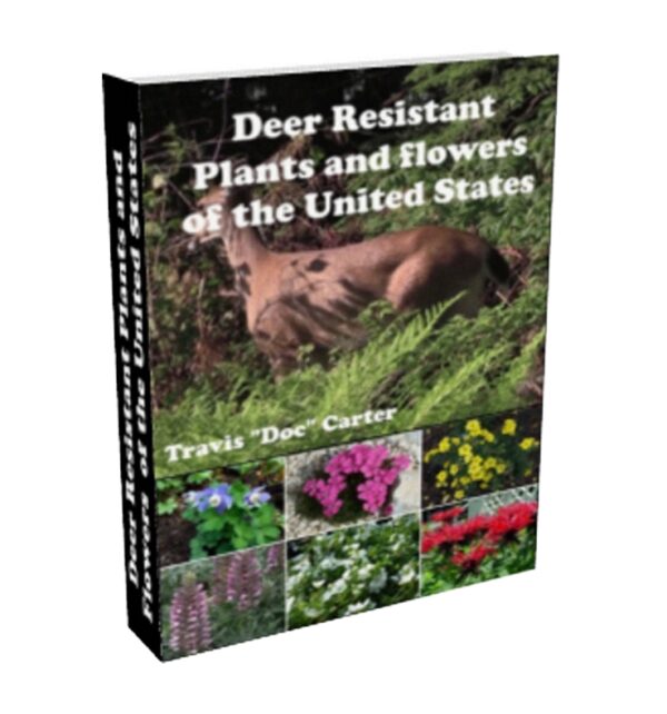 Deer Resistant Plants