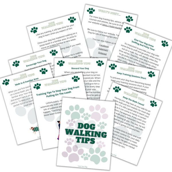 Printable Dog Walking Log | Dog Walking Schedule | Pet Walking Tracker | Dog Weight Loss Planner | Dog Exercise Plan | Digital Download | - Image 10