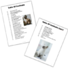The Complete Cat Care Planner | Digital Download, Cat Tracker, Checklist, Schedule, Planner - Image 2