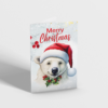 Polar Bear Christmas Card