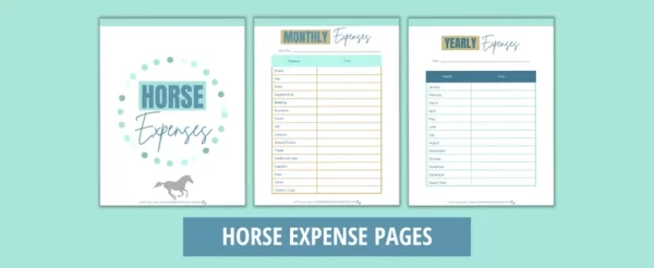 Horse Owner Journal | Horse Record Keeping Journal | Horse Health Records | Horse Vaccination Records | Horse Record Printable - Image 6