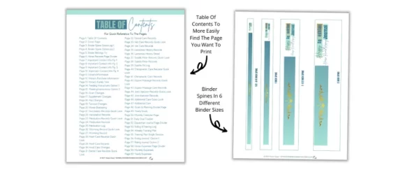 Horse Owner Journal | Horse Record Keeping Journal | Horse Health Records | Horse Vaccination Records | Horse Record Printable - Image 2