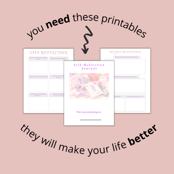 Self_Reflection Journal - Image 8
