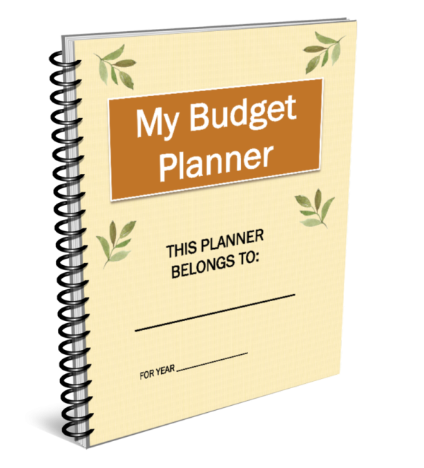 My Budget Planner PDF Inspired Fun