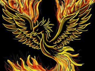 feng shui wall art - phoenix