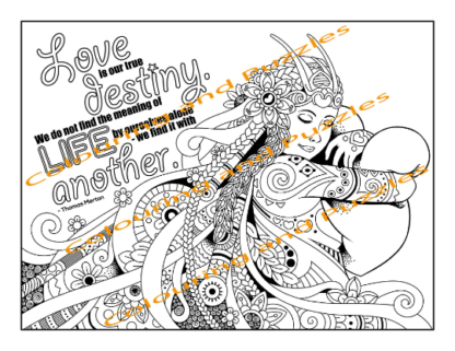 aMazing Adult Colouring Fun and Fabulous - 40 Designs affirmations and quotes printable digital download for grownups colouring pages - Image 4