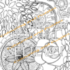 aMazing Adult Affirmations Flora and Fauna printable digital download for grownups colouring pages book - Image 6