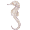 Octopus and Seahorse Wall Art Set - Image 3
