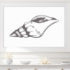 Sea Shell Wall Art