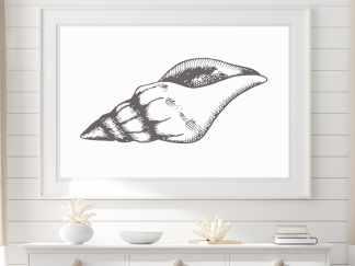 Sea Shell Wall Art