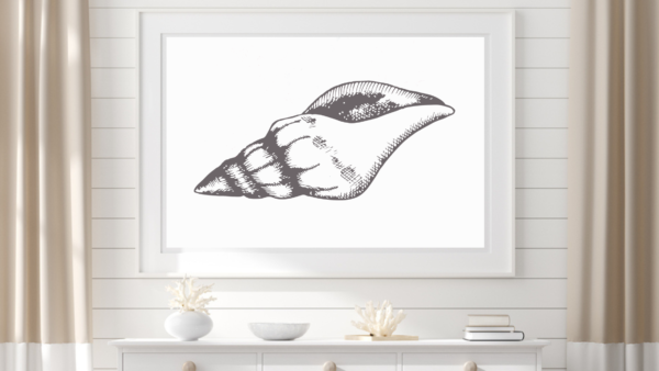 Sea Shell Wall Art