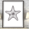 Starfish Wall Art